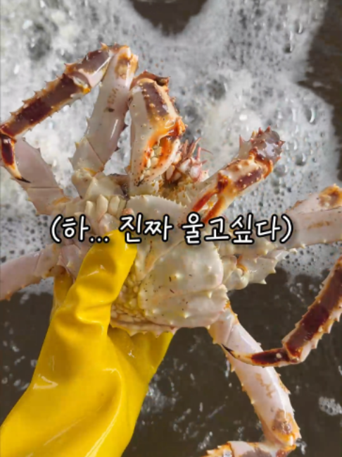 @명구푸드