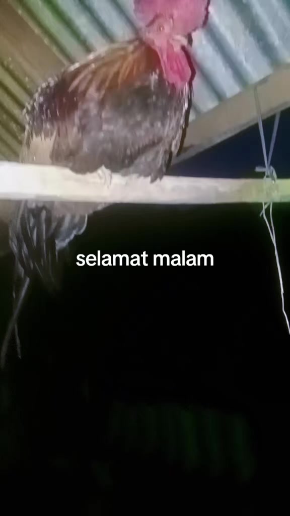 @Een