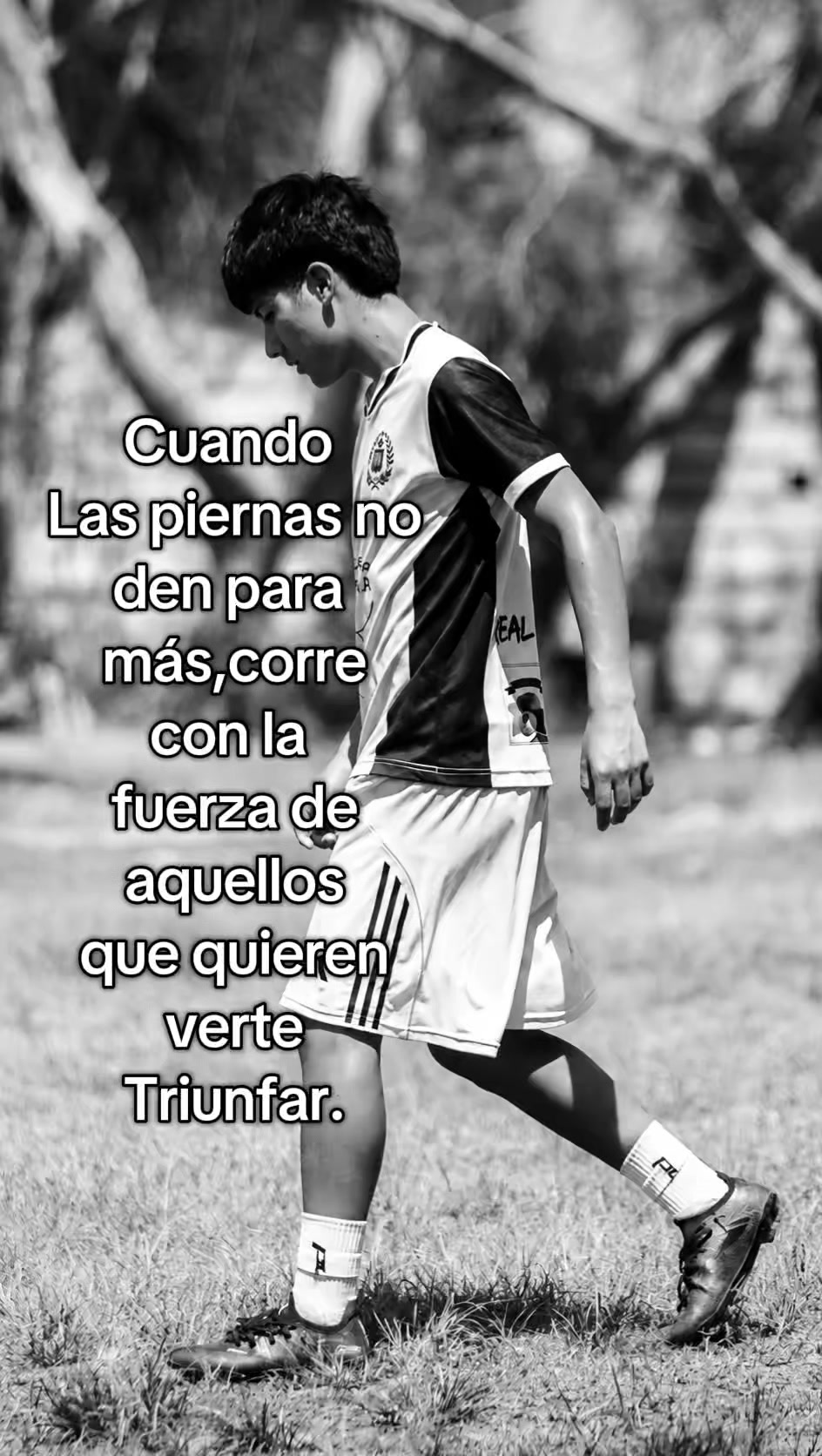 @David Castillo
