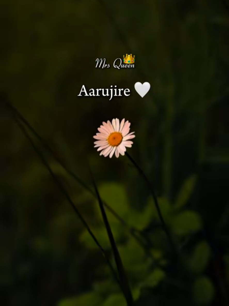 @𝐌𝐫𝐬 𝐐𝐮𝐞𝐞𝐧 👑