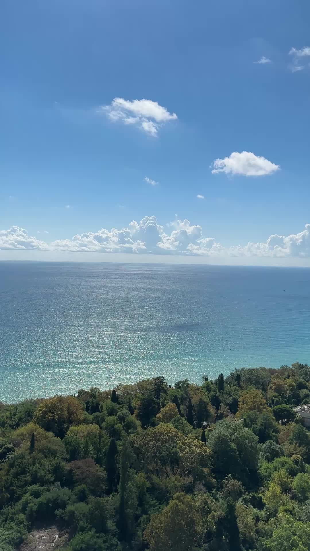 @drako.uzrap