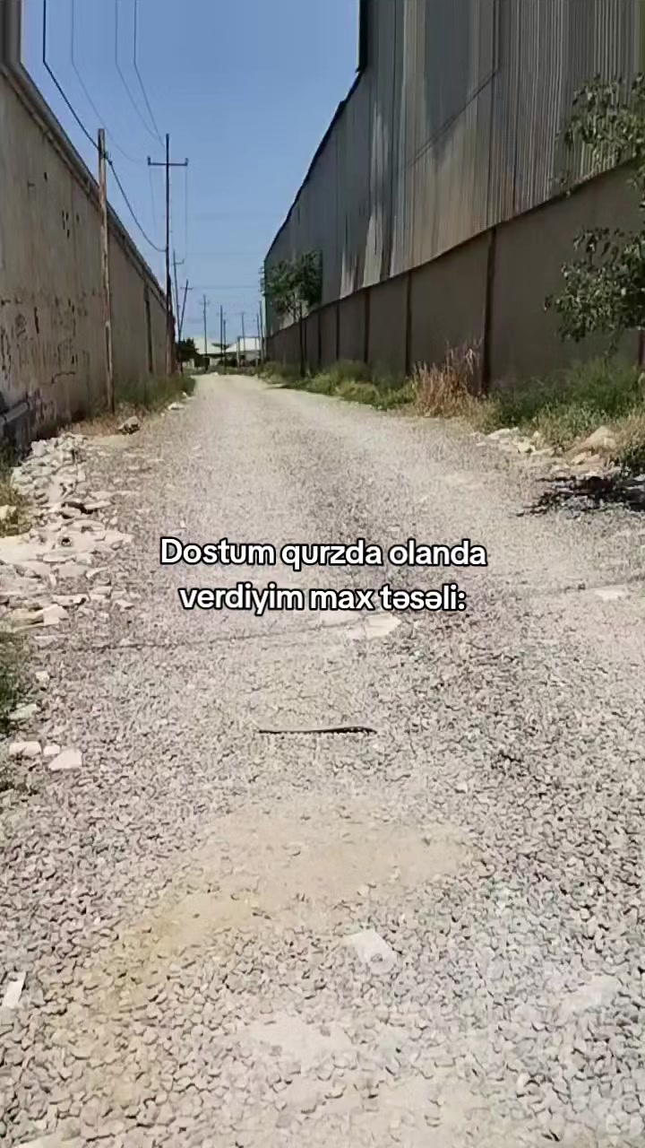 @𝗫𝗔𝗟𝗜𝗟𝗢𝗩🐊
