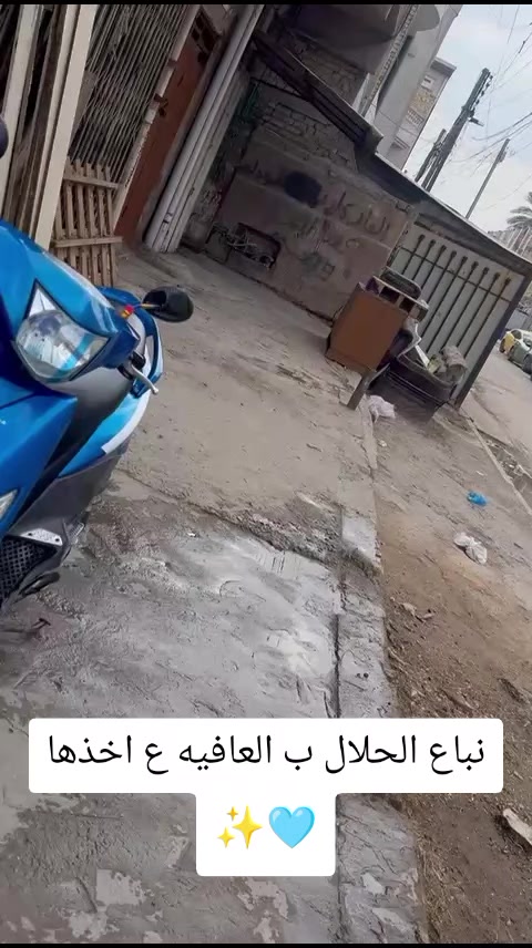 @⚜️ ابن بغداد ⚜️