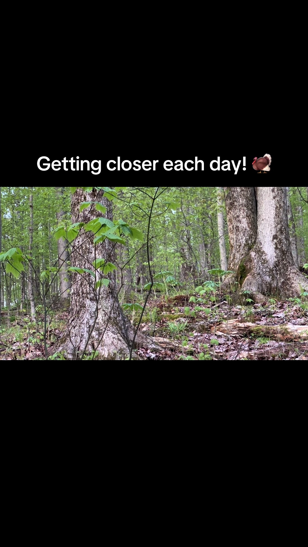 @Find A Way Outdoors