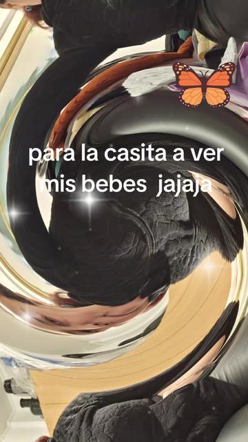 @tremenda🦋🐘🐼