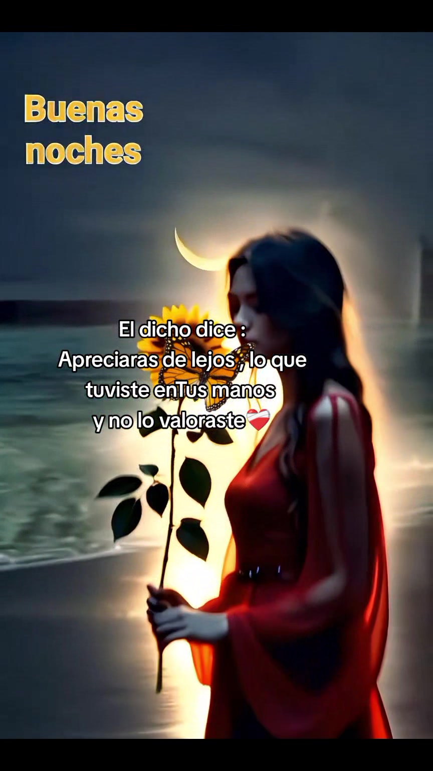 @꧁ღ💛🌻Mi bello Girasol🌻💛ღ꧂