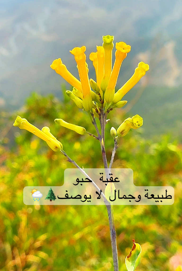 @رِجْم 📸