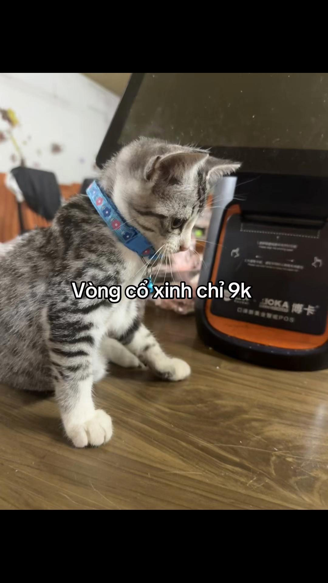 @Smile89