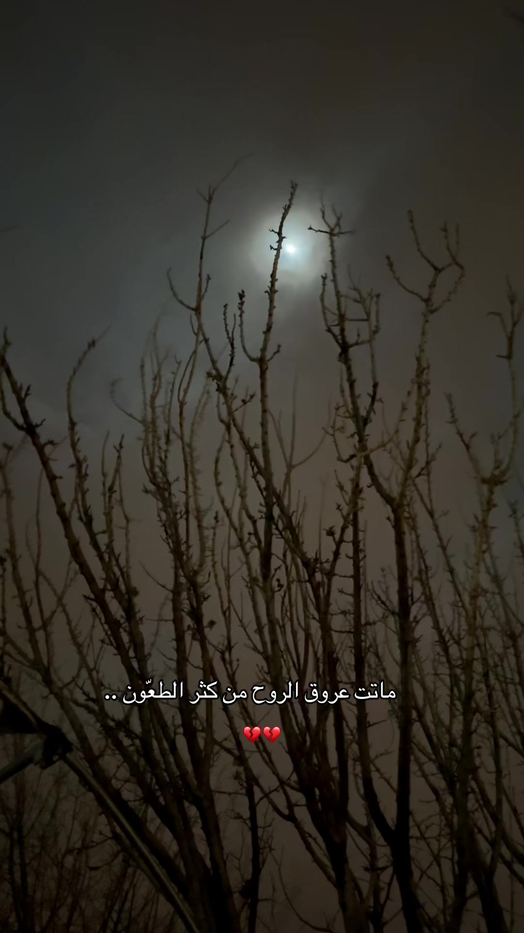 @خالد/KHALD