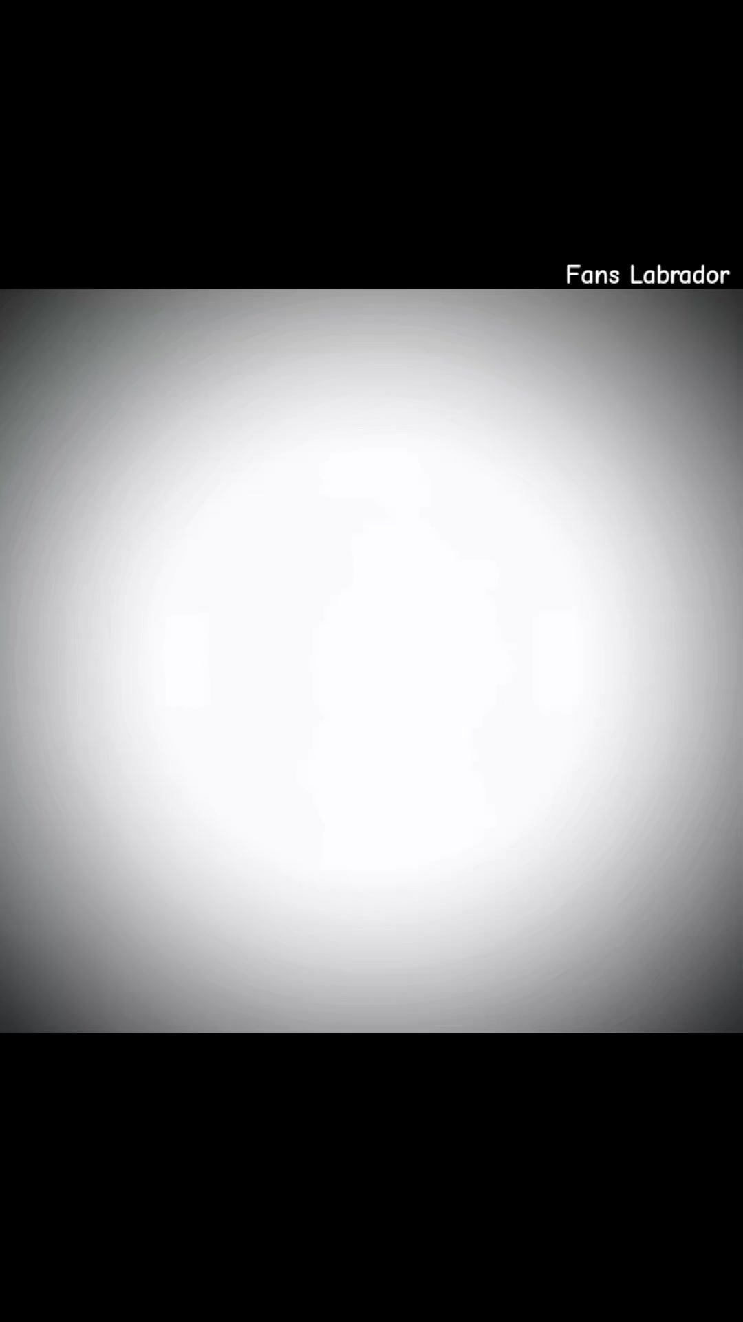 @𝐅𝐚𝐧𝐬 𝐋𝐚𝐛𝐫𝐚𝐝𝐨𝐫