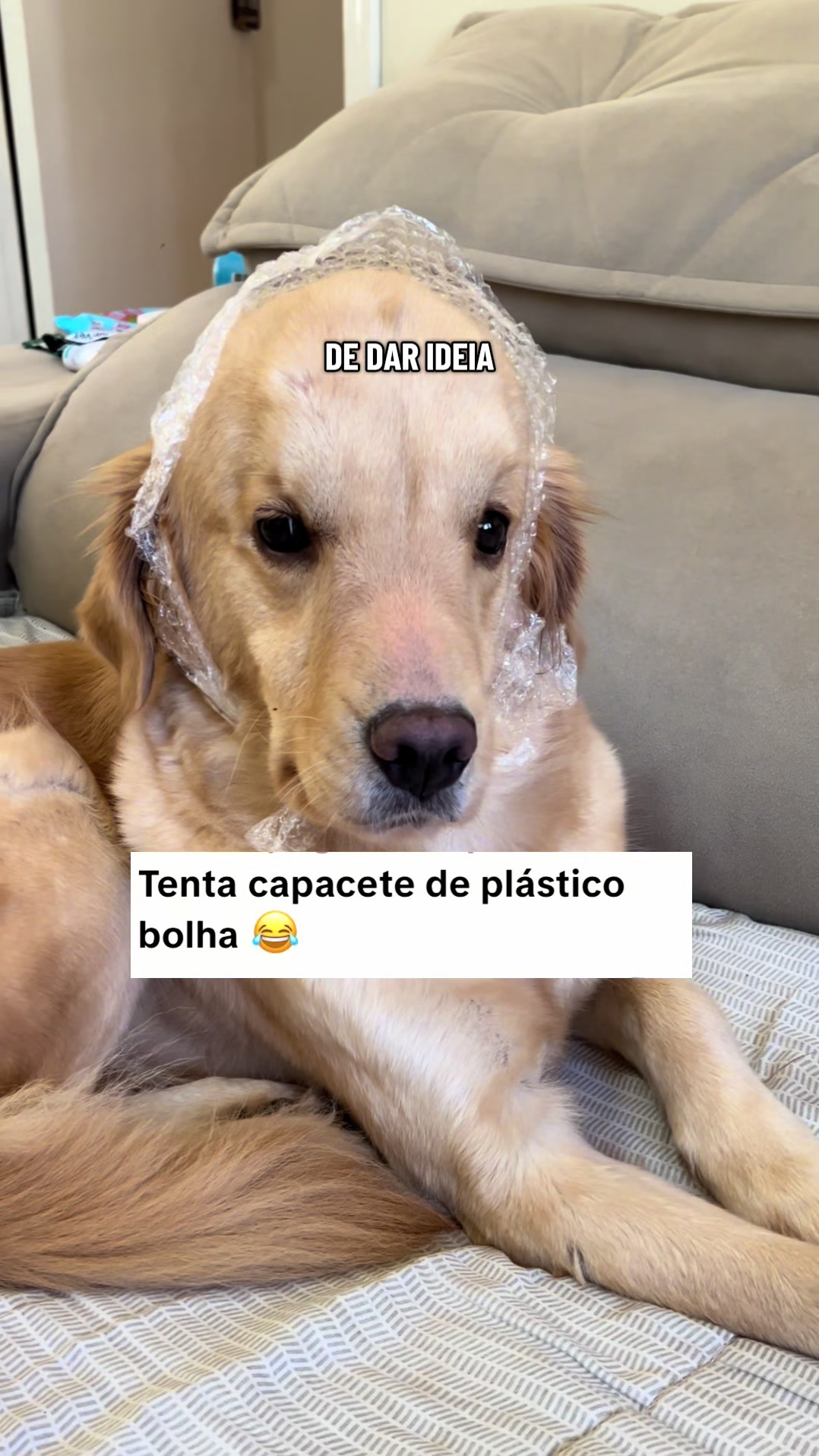 @Docinho, a golden especial.
