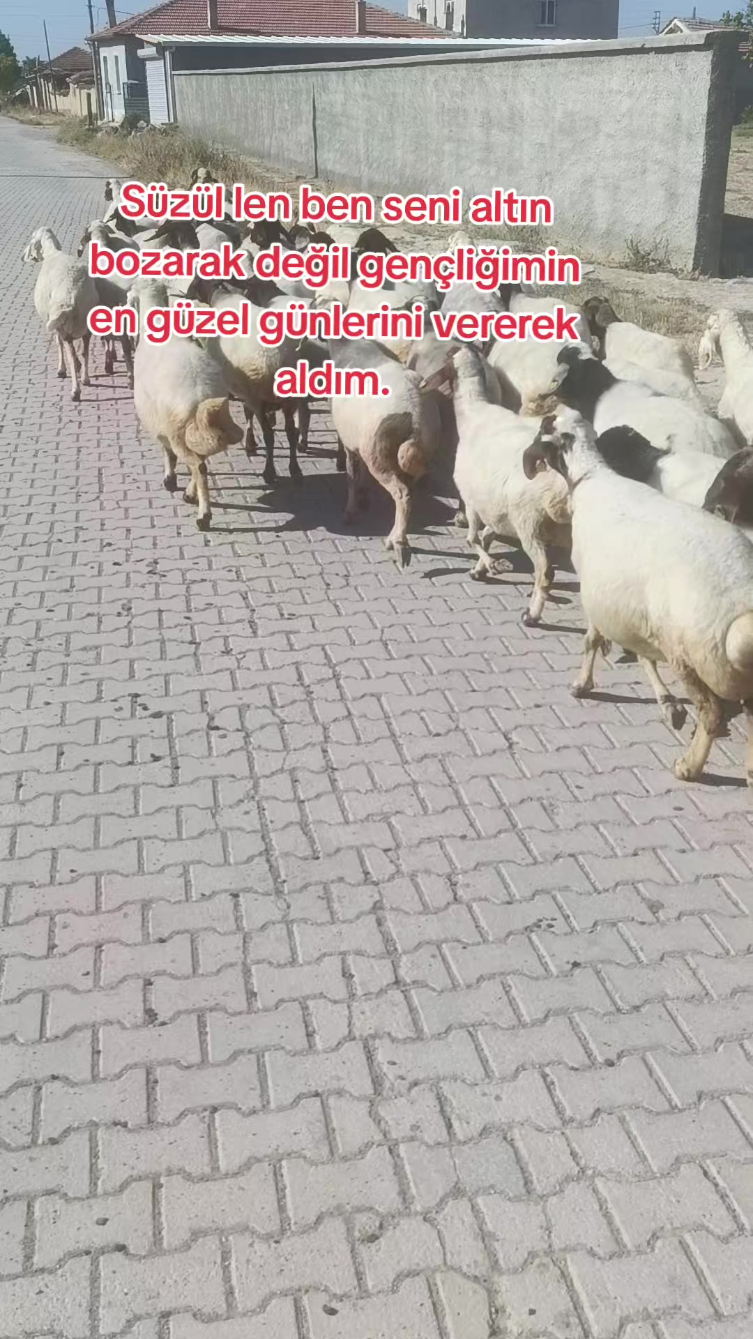 @𝑬𝑴𝑹𝑬.