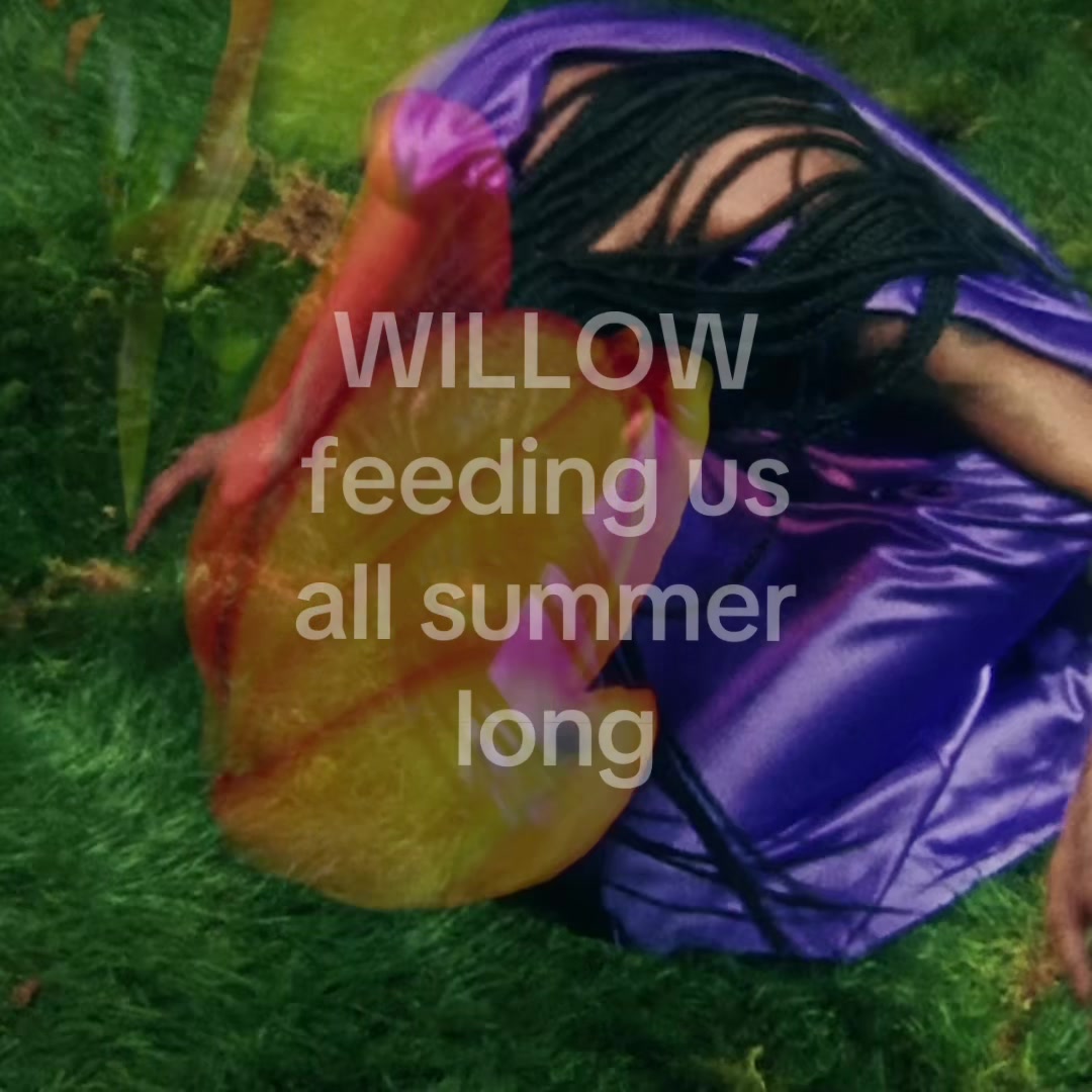 @WILLOW’S WORLD