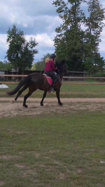 @КК "Фриз"🏇