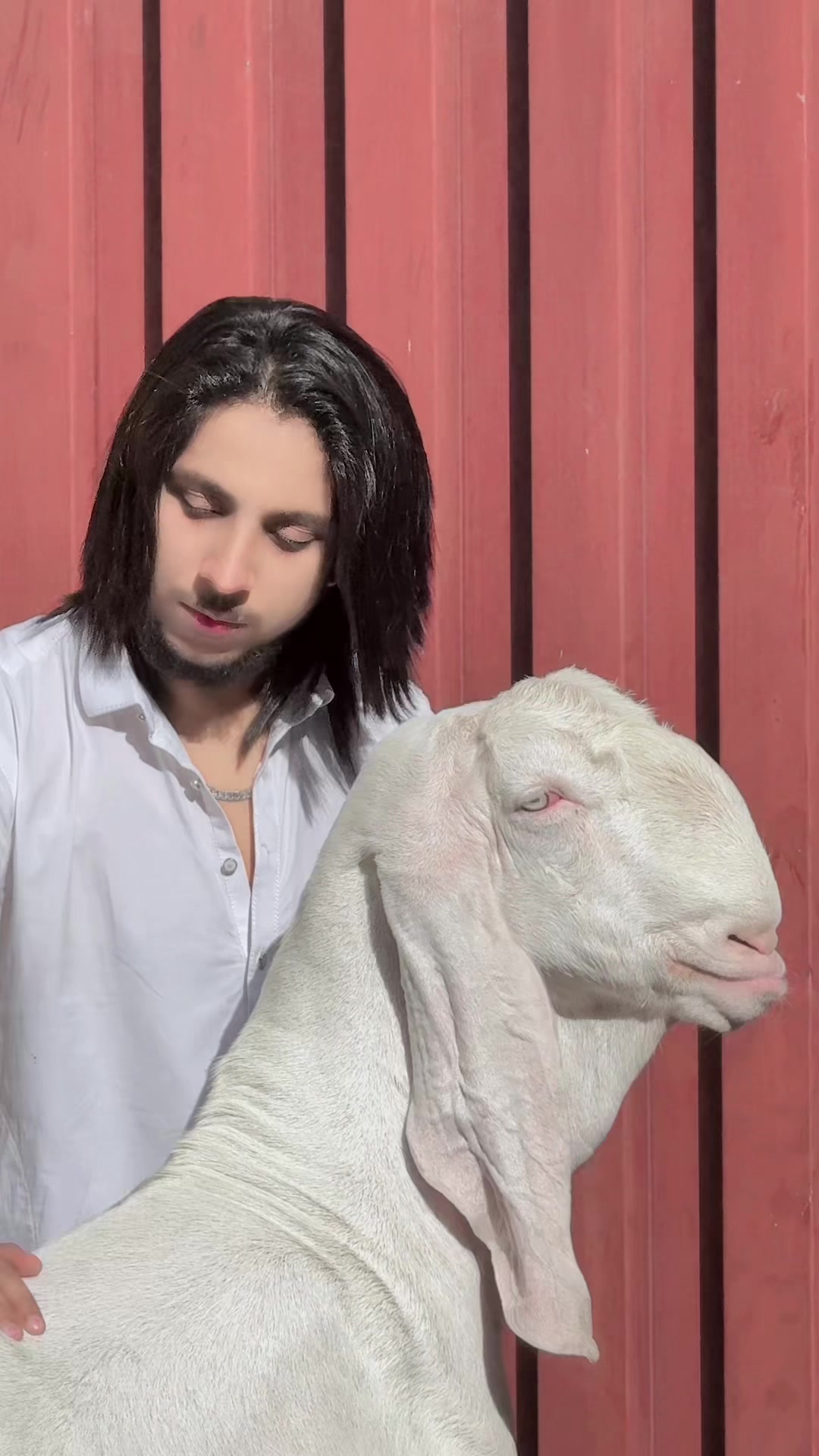 @Pyary_ AppLe 🍎 official