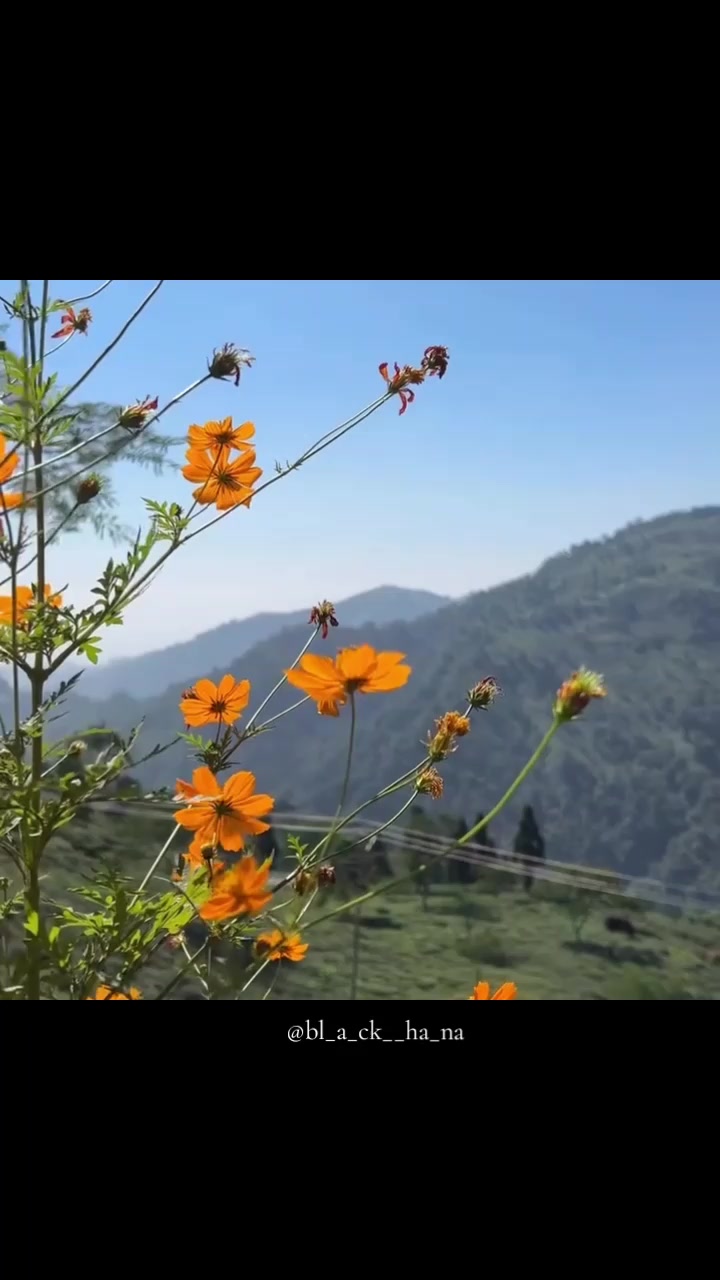 @Ha_Na🌻