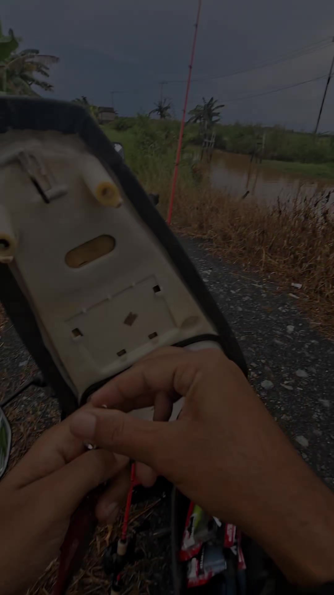 @TungFishing