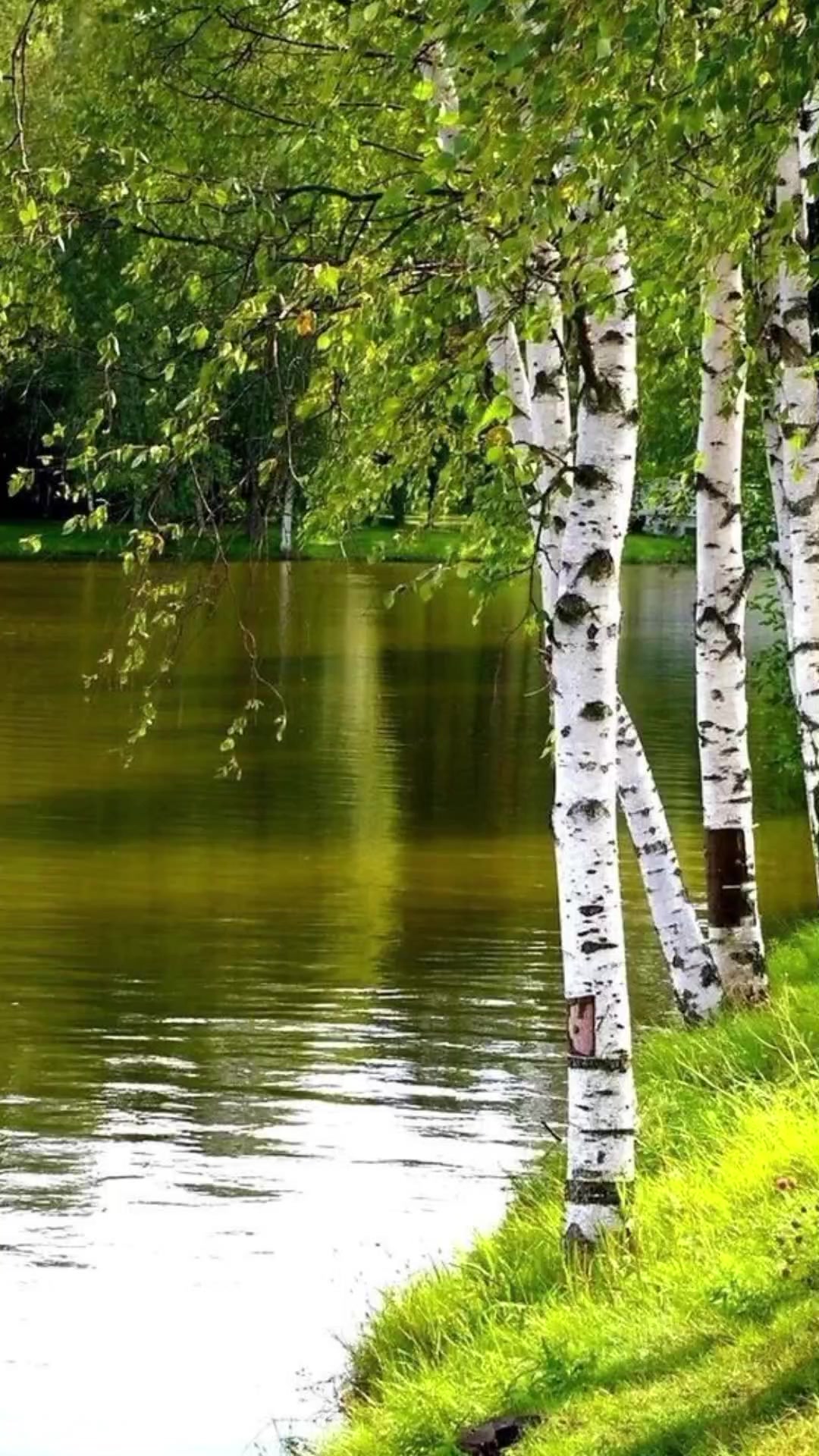 @Ольга