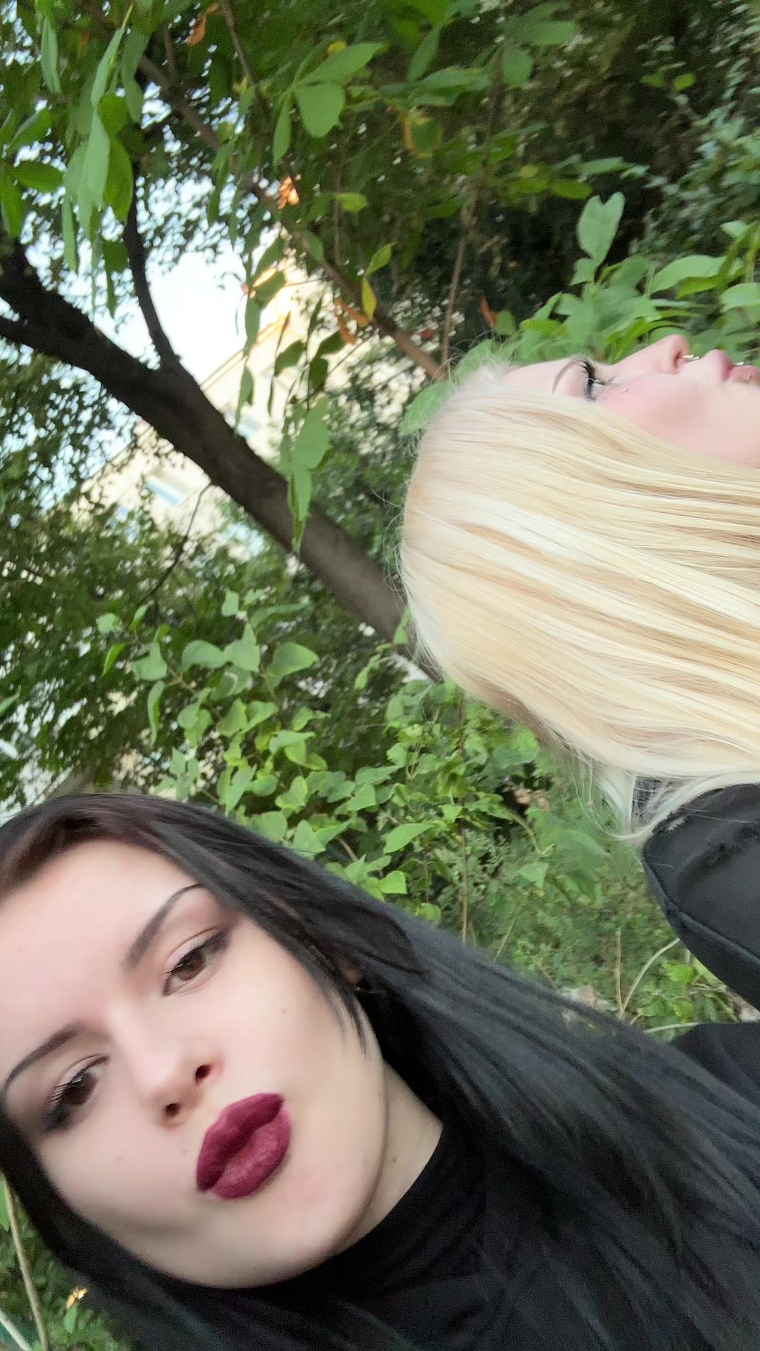 @ariu