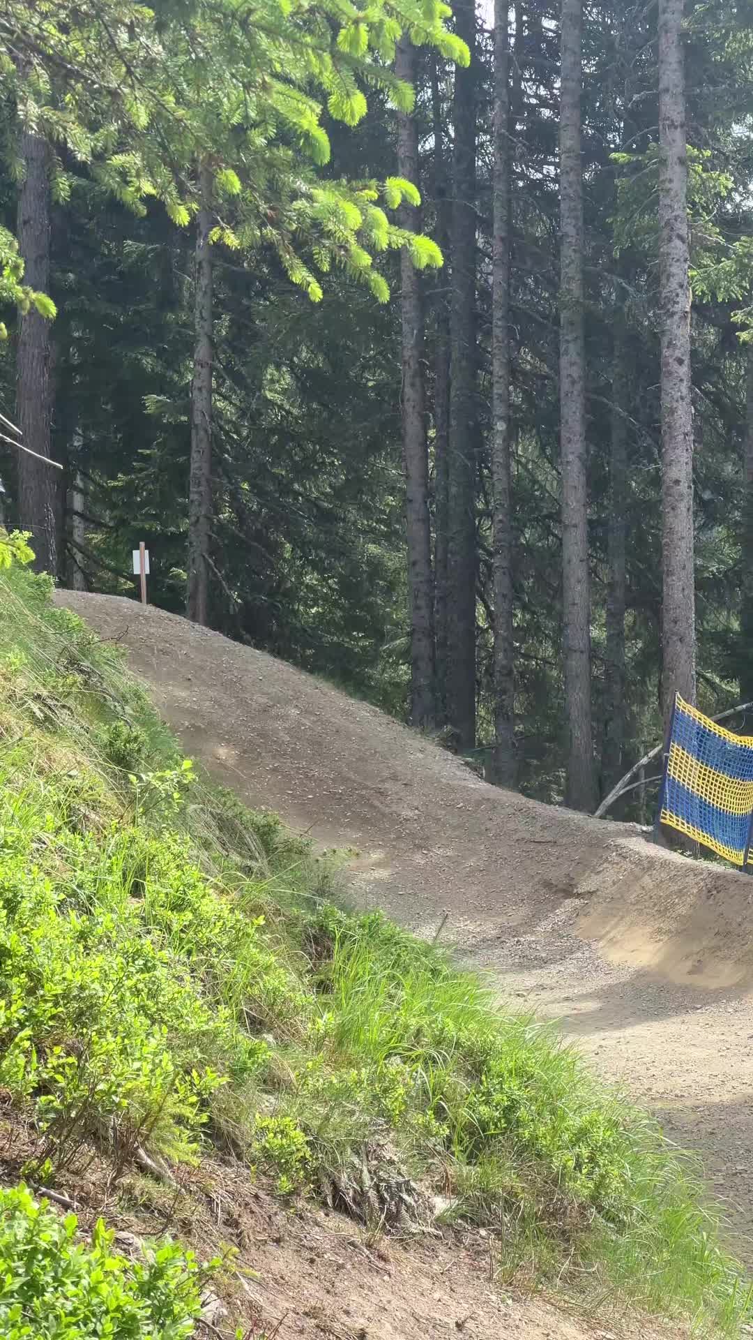 @FREERIDE🎠PAULO