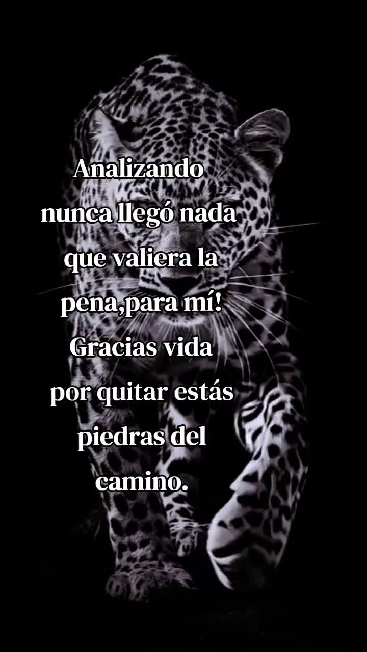 @rafaeela3 leticianovoa1