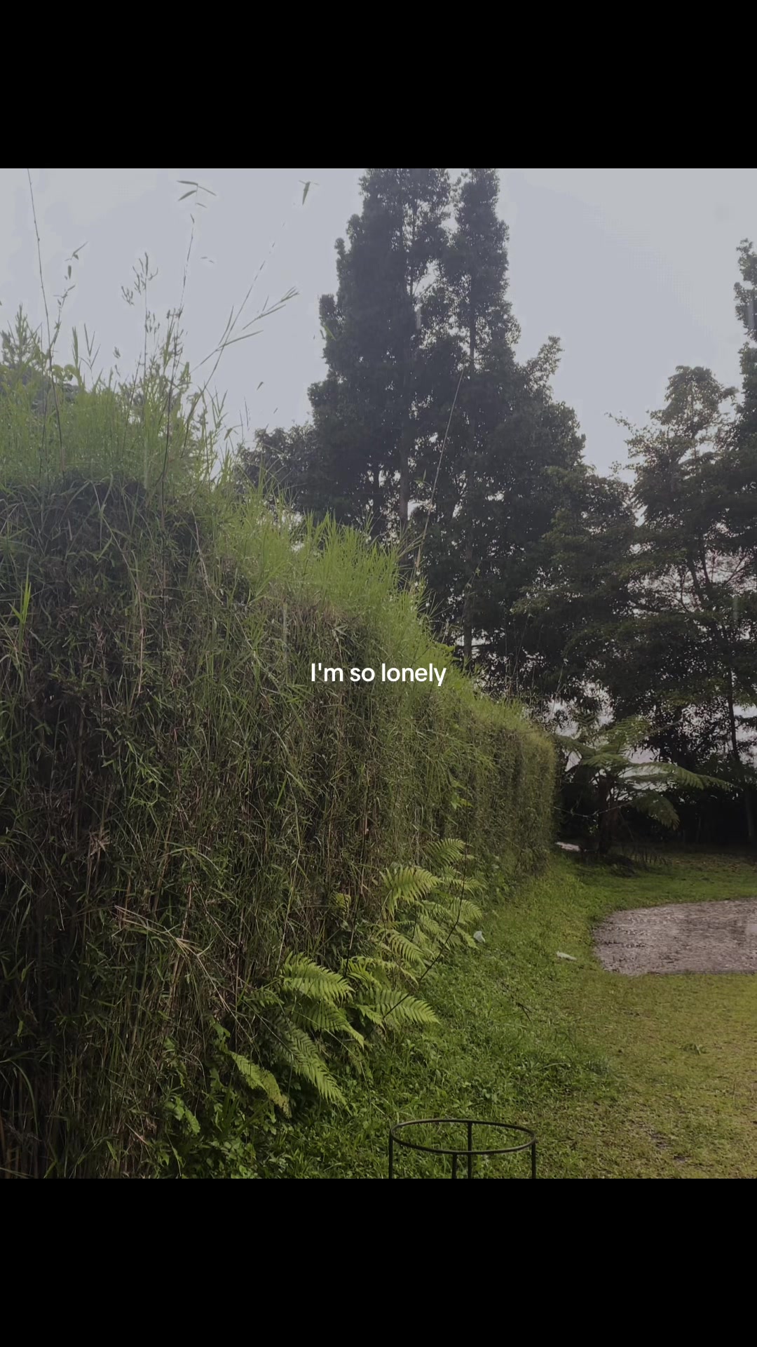 @𝑽𝒐𝒊𝒅 🎧