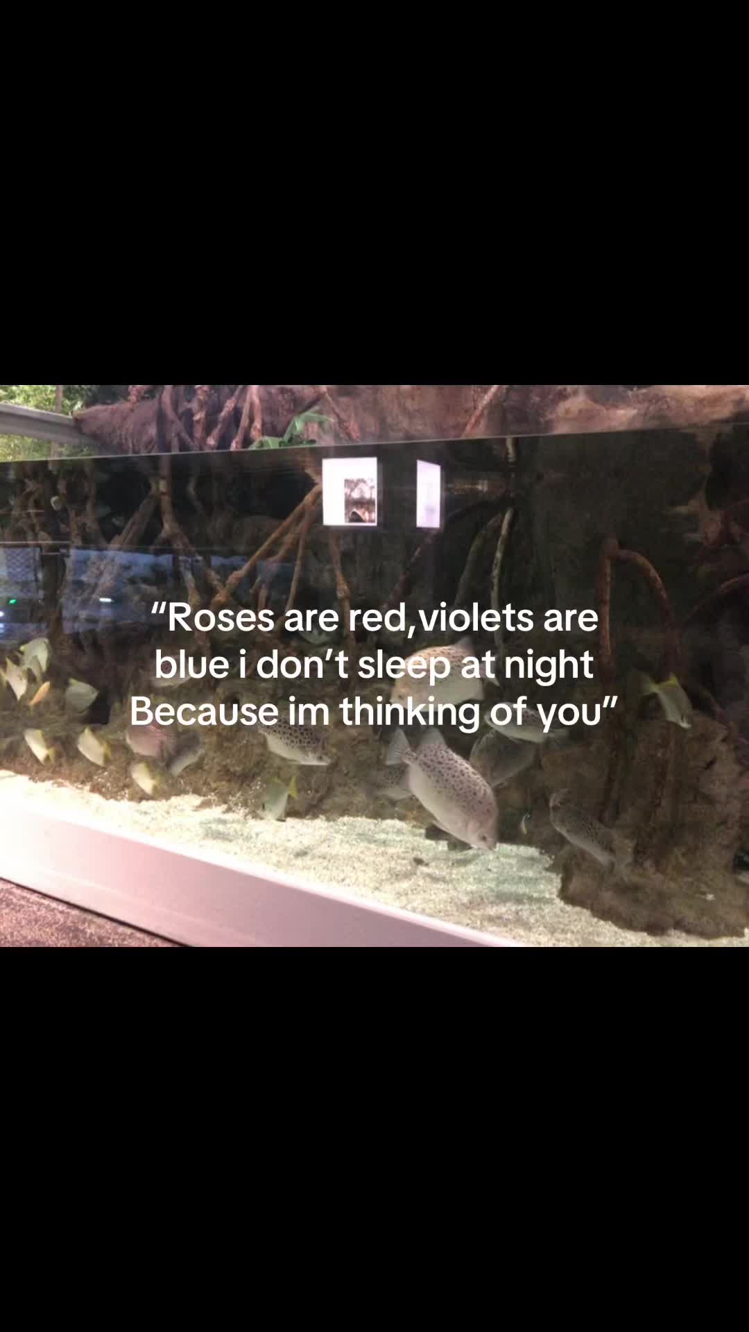 @🌷