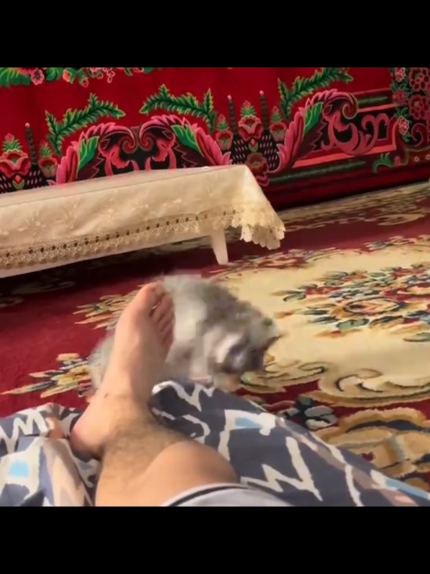 @Zahid Nana
