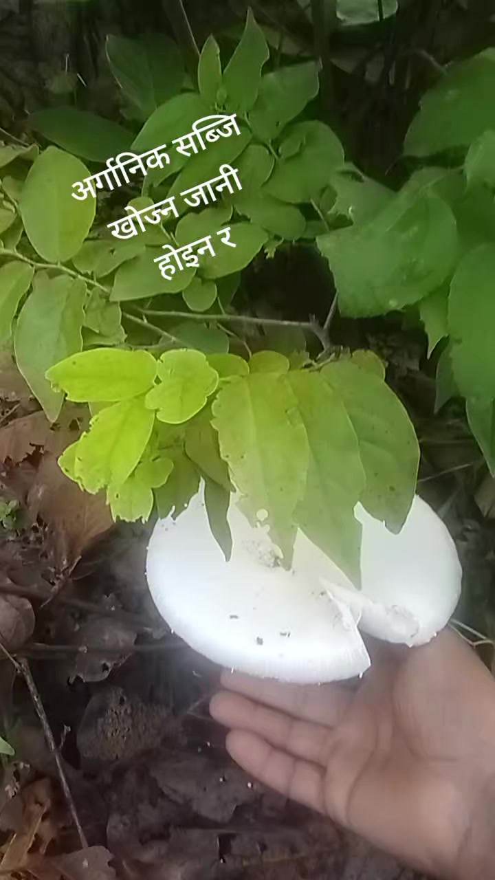 @RaJu NeUpAnEe410