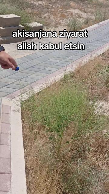 @Ali...!!!