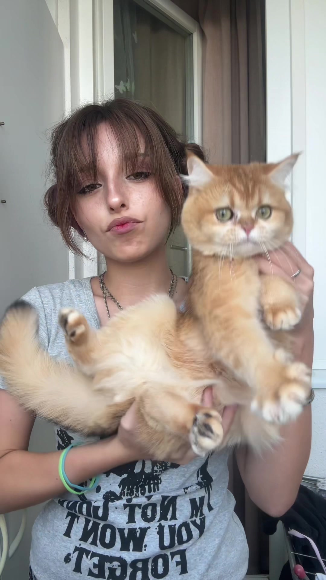 @awilumk
