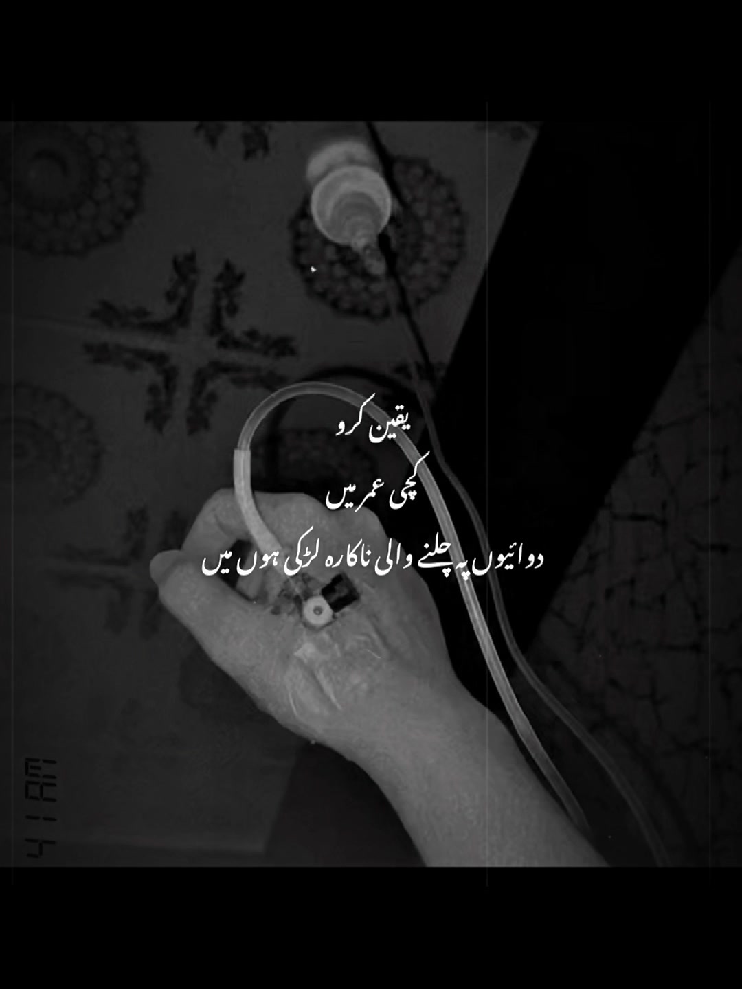 @🕊️♥️🥀