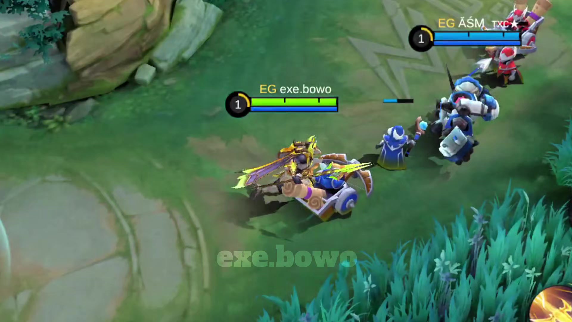 @exe bowo