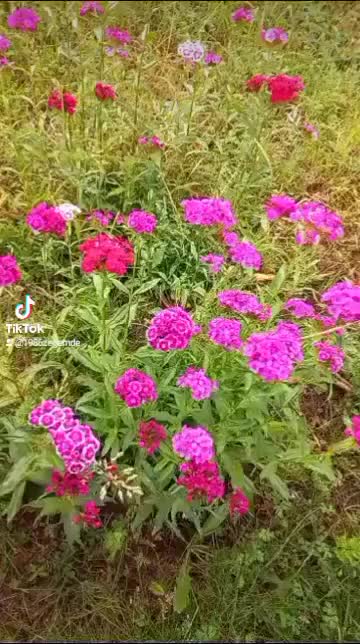 @живи достойно