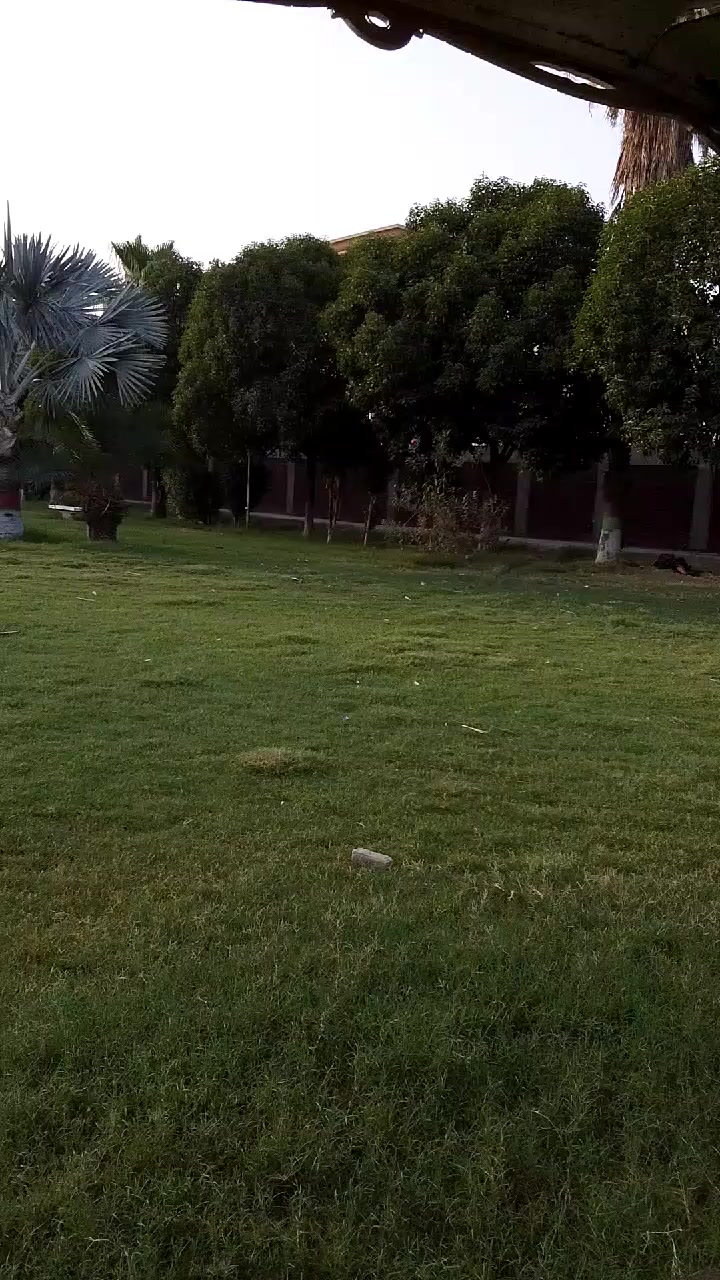@🥀🥀🥀