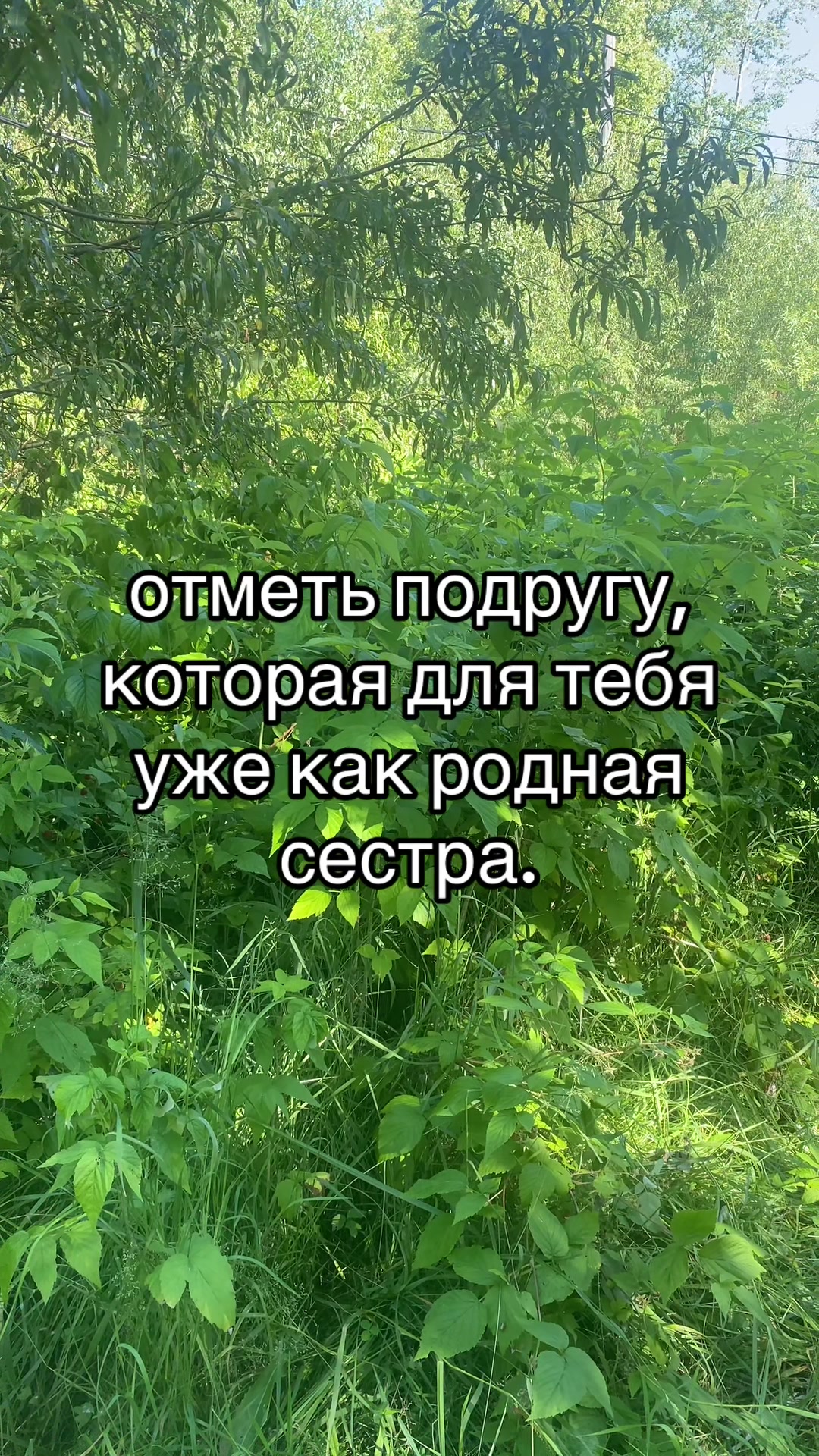 @Данил