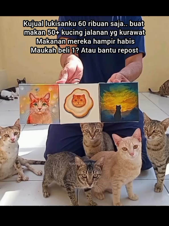 @Kucing Rumah Ronal