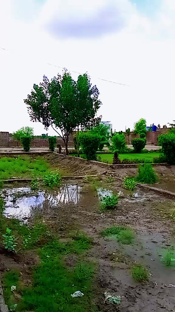 @Riya Rajput