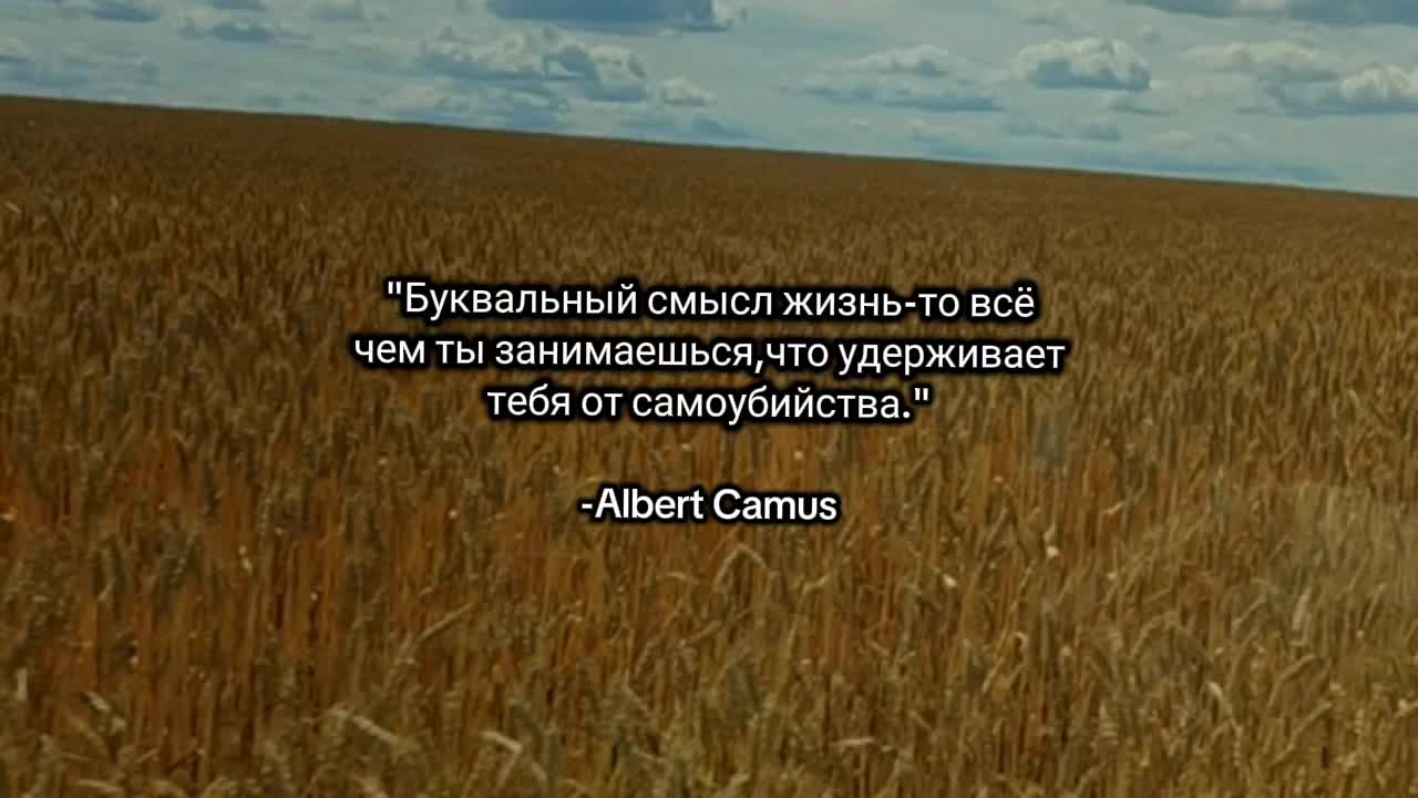 @Дарья