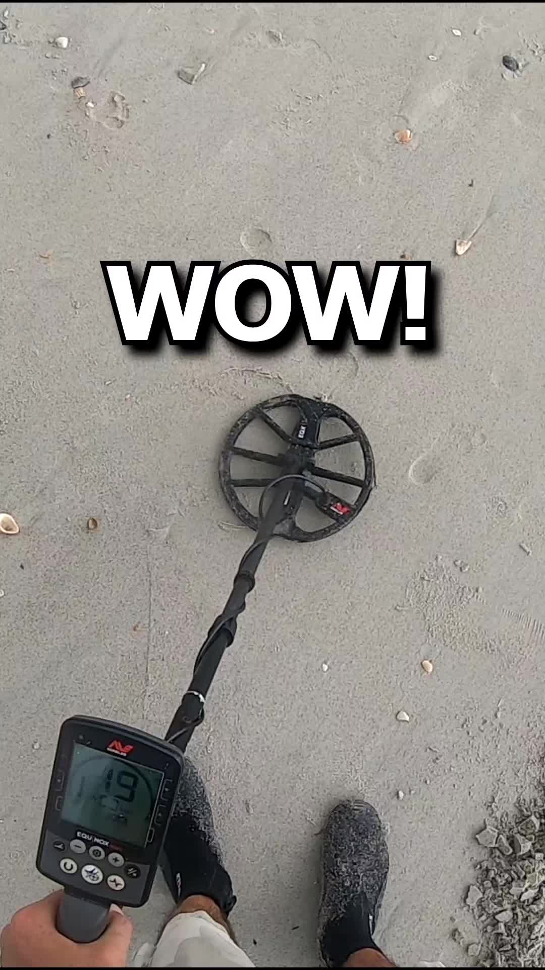 @detectormoe