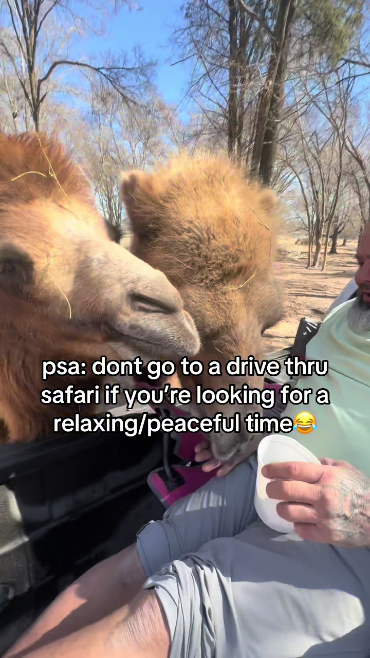 @vic🦥