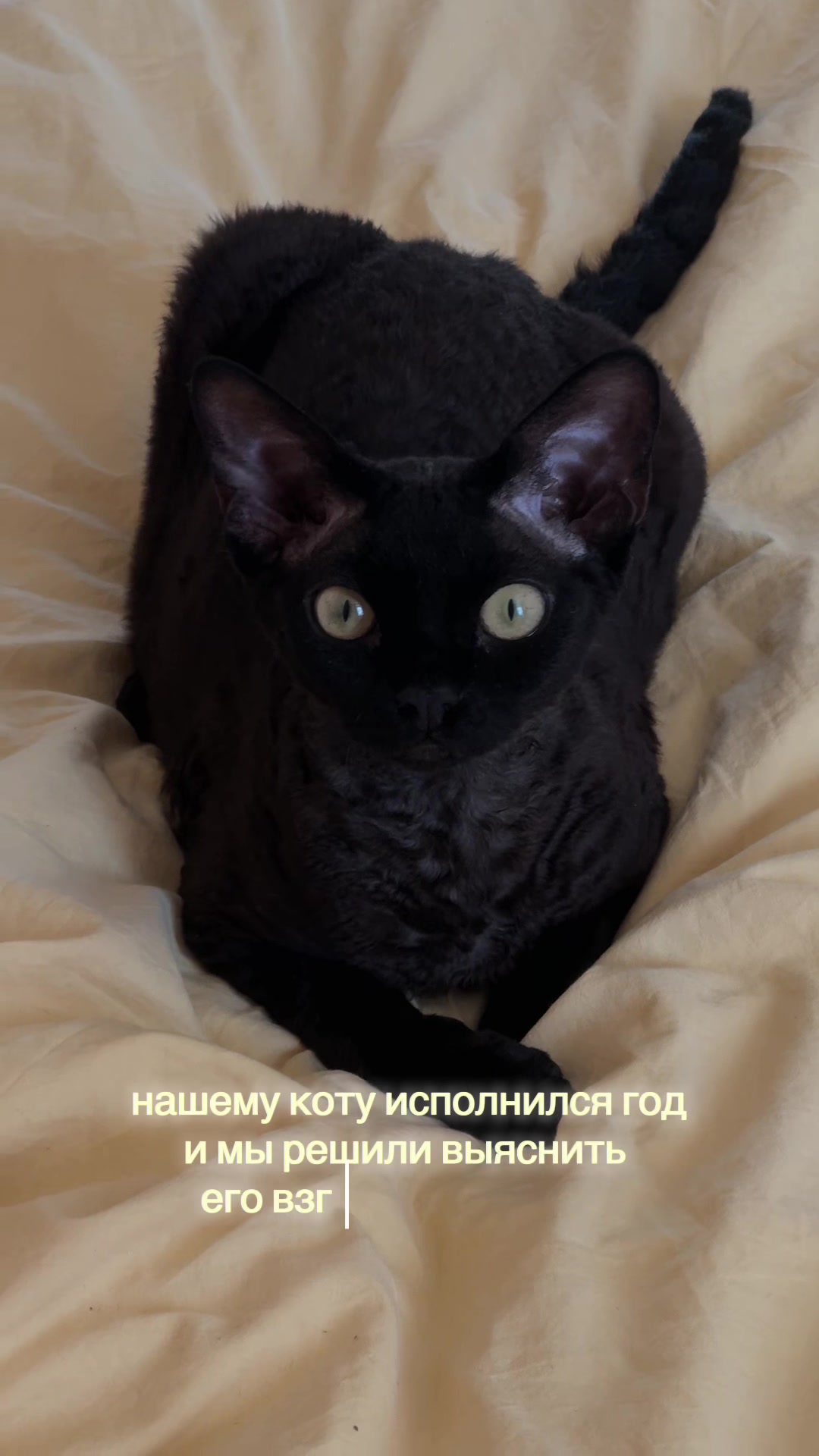 @модный дом леры 🎀