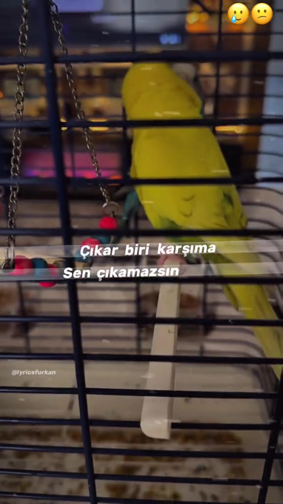 @𝑴𝒊𝑹𝑨🍒