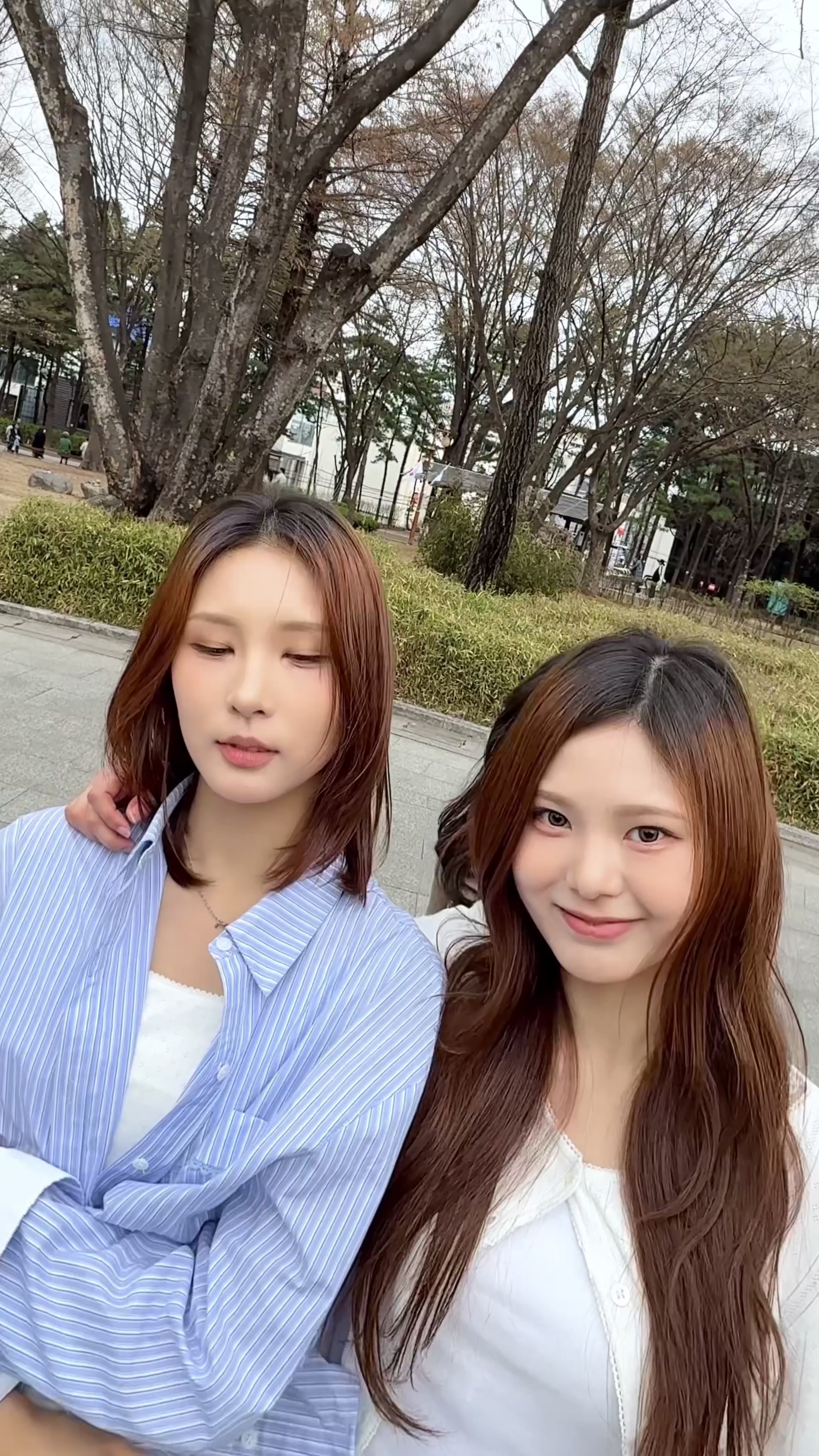 @๐EMILIYA๐๋ฐ ์์