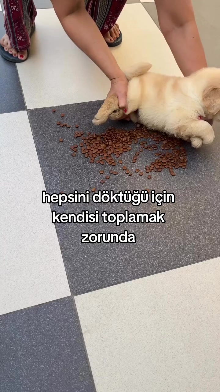 @rolland
