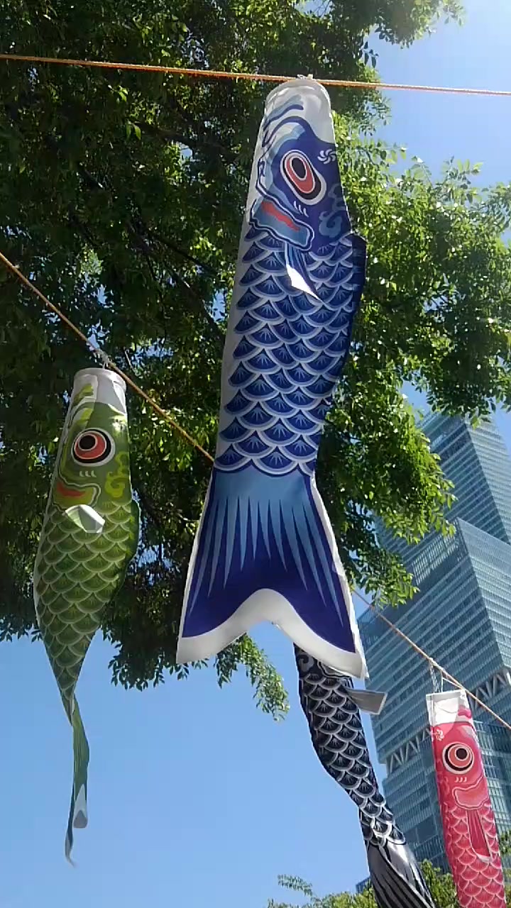 @五十嵐😎龍騎