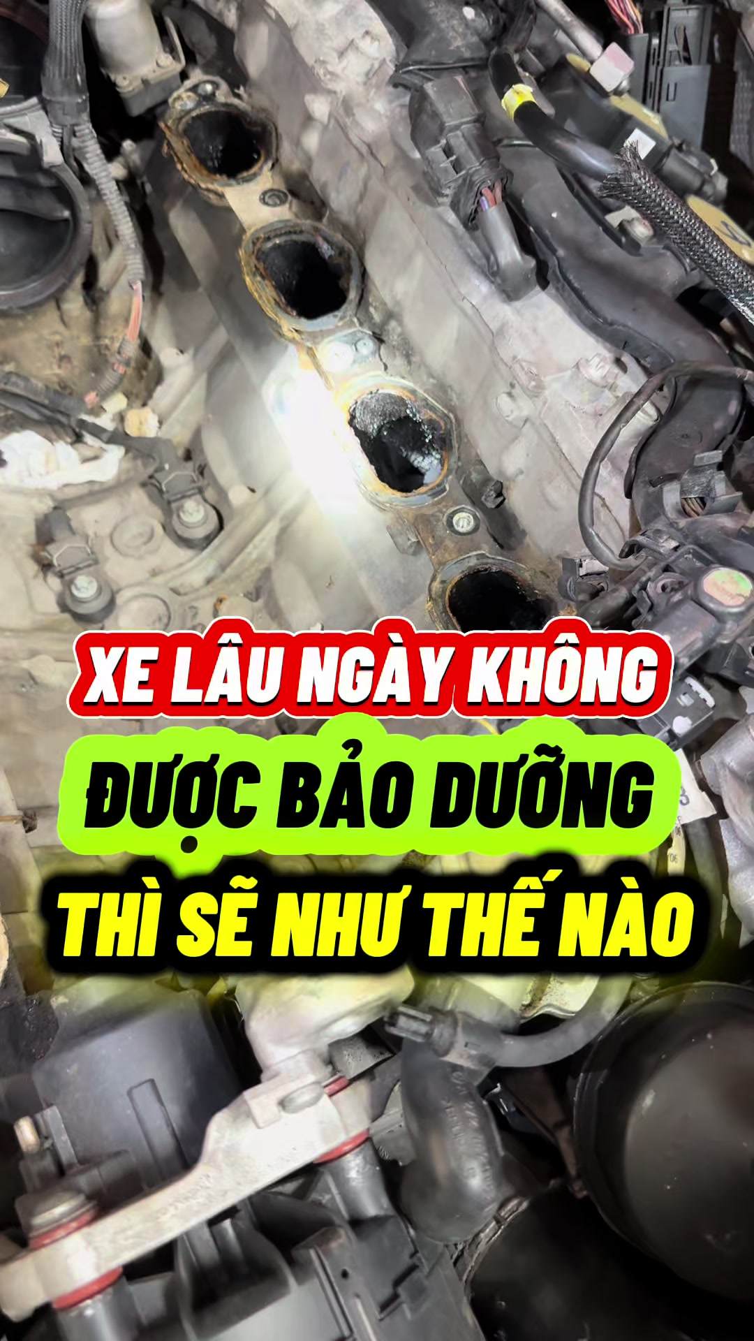 @Phụ Kiện Trang Tr&iacute; Xe ATOCAR