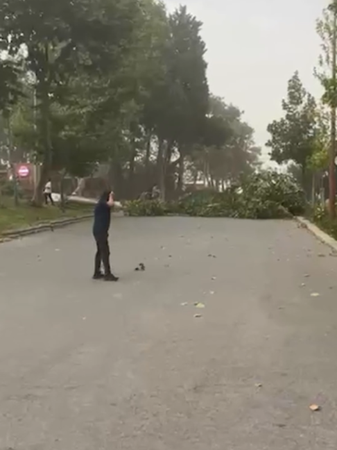 @Habert&uuml;rk TV