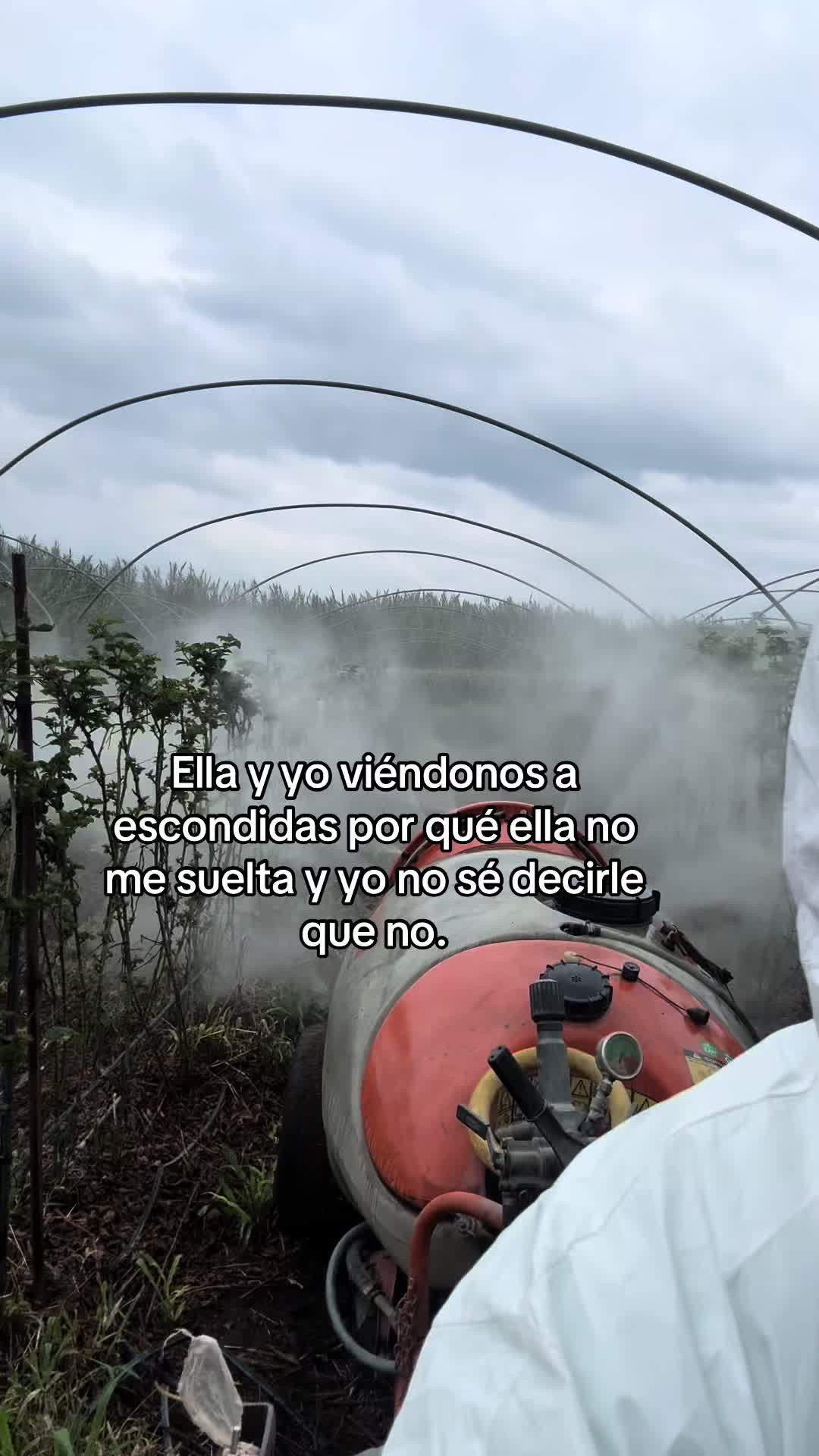 @ing_adrianos