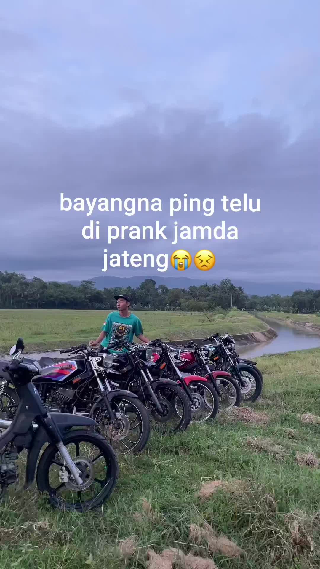 @davidd